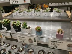 -鹿岛生活(熙地港店)