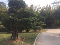 -南宁南湖公园