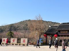 -香雪海