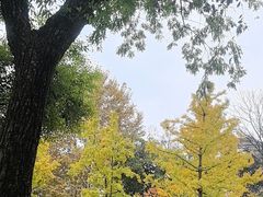 -中山公园