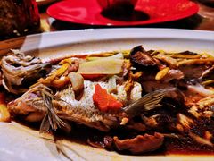 清蒸龙胆鱼-文儒九号·闽菜馆(三坊七巷店)