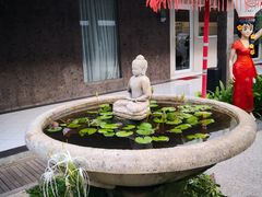 -巴厘岛黄金金兔咖啡工厂