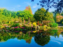 -杭州植物园
