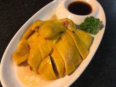 广东白切鸡-云中小雅