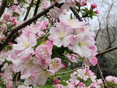 -元大都城垣遗址公园