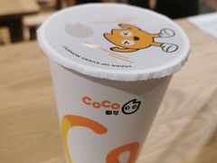 -CoCo都可(嘉兴学院店)