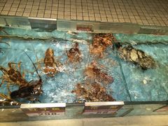 -宜宾海鲜酒家·三十年老字号