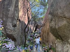 -秦岭终南山世界地质公园翠华山景区