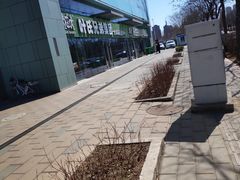 -叶氏兄弟(大连奥特莱斯店)