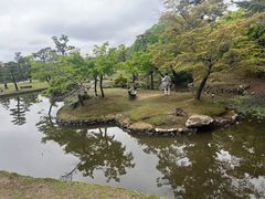 -奈良公园