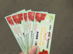 -盛世牡丹苑生态文化旅游区