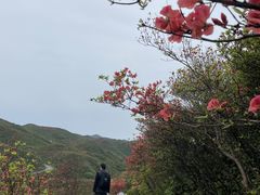 -大围山国家森林公园