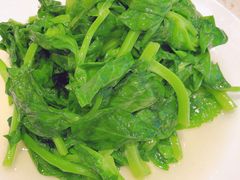 清炒豆苗-鼎泰丰(环贸店)