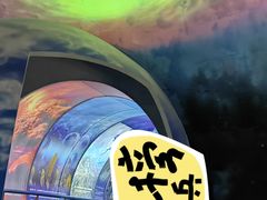 -房山世界地质公园博物馆