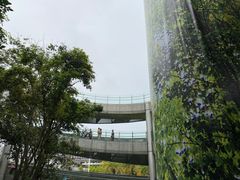 -福道
