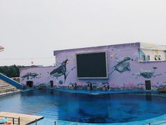 -北戴河圣蓝海洋公园