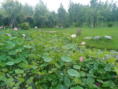 -中家鑫园温泉酒店鑫悦汤泉