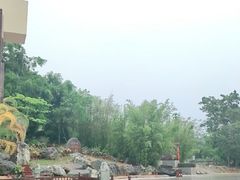 -七仙岭温泉国家森林公园