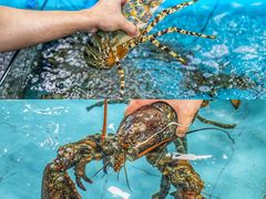 -渔人湾码头海鲜市场负二楼