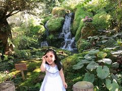 -Chom Cafe and Restaurant