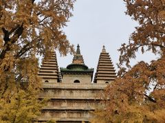 -北京石刻艺术博物馆(五塔寺)