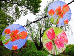 -上海鲜花港