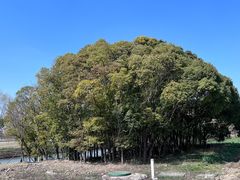 -嘉北郊野公园
