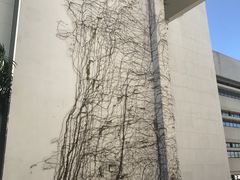 -香港大学