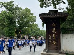 -鲁镇