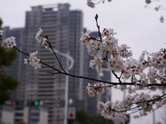 -玉山公园