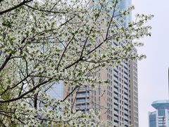 -西北湖绿化广场