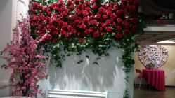 -戛纳印象摄影(潮拍定制馆)