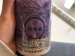 -野萃山·潮汕厚果汁(十亩地店)