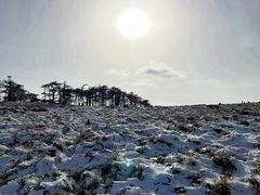 -终南山南五台景区