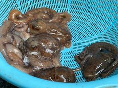 -常家活海鲜小吃(仅一家无分店)