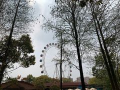 -上海野生动物园