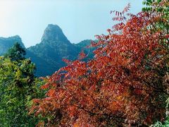 -北京上方山国家森林公园