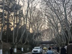 -大汉足道·影院式足疗按摩SPA(友谊广场店)