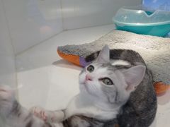 -龟与熊猫宠物公园(南坪店)