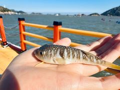 -大京沙滩