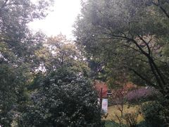 -乌山风景区