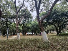 -燕晗山郊野公园