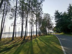 -上海月湖雕塑公园