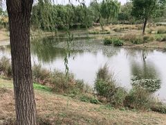 -东郊湿地公园