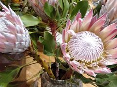 -城市之间超市(圆融星座店)