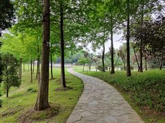 -紫金山山顶公园