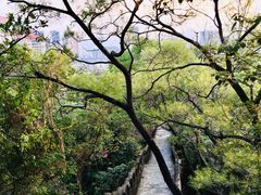 -珠海圆明新园