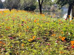 -梁鸿国家湿地公园