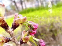 -国家植物园