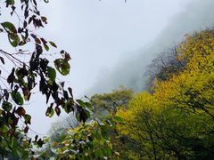 -青峰峡国家森林公园